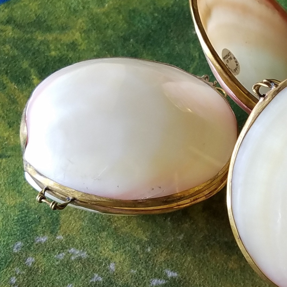 Clam ♻️ Shell Coin Purse - Picture 3 of 5